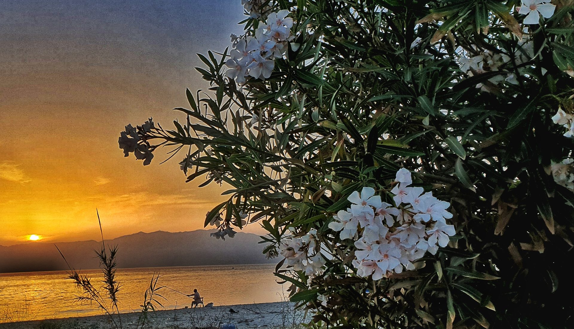 Tramonti — fotografia di Franco Musolino