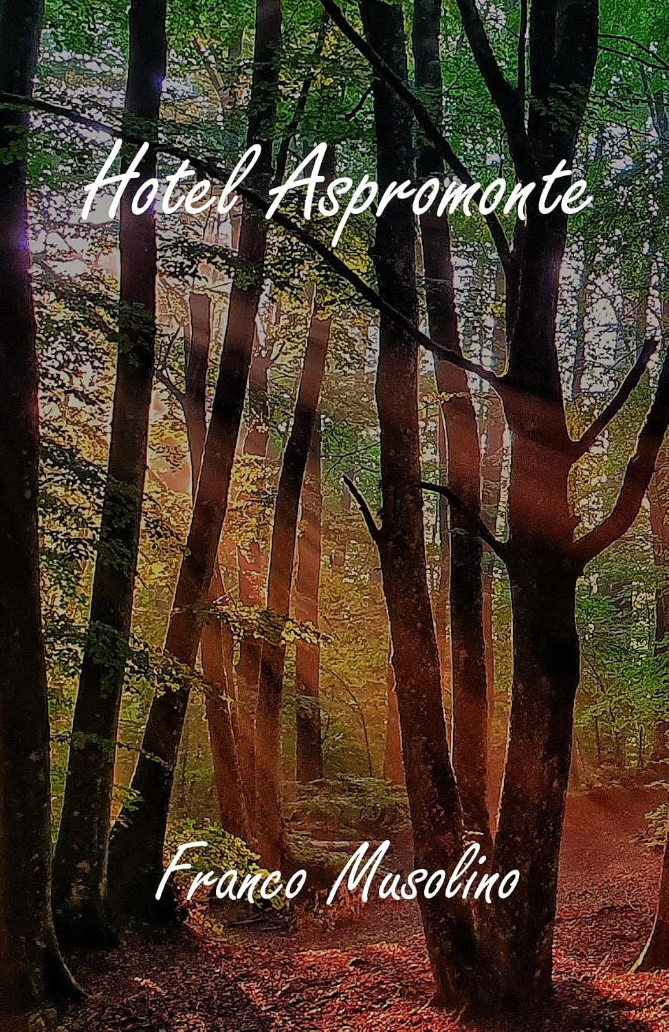 Copertina di Hotel Aspromonte